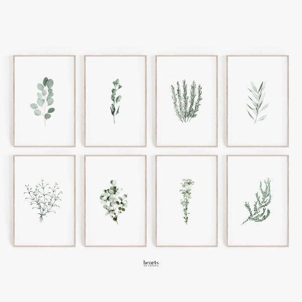 BOTANICAL PRINTS, Set of 8, DIGITAL Prints, Botanical Posters, Farmhouse Prints, Art, Farmhouse Wall Art, Farmhouse Decor, Gallery Wall Set