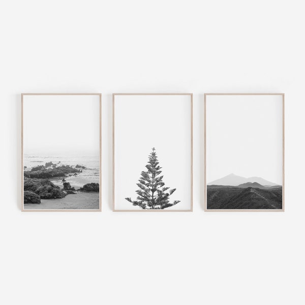 Wall Decor,Black and White Prints,Nordic Prints,Large Wall Art,Home Decor,Digital Prints,Wall Art,Nature Print,Forest Print,Nature Wall Art