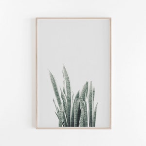 Botanische print, grijs, plantenprint, slangenplantprint, botanische kunstprint, muurprint, plantenkunst aan de muur, botanisch, botanisch decor, botanische poster