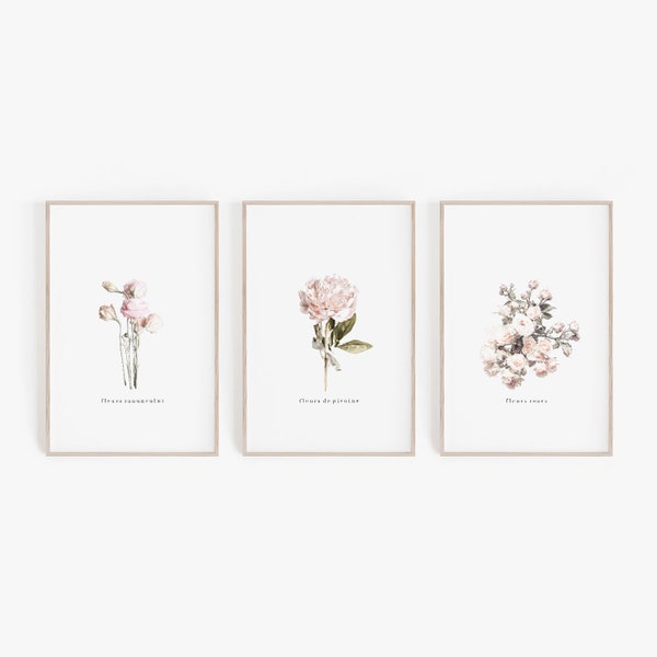 Floral Prints, DIY Wall Art, Digital Prints, Pink Floral Prints, Roses Print, Pink Wall Art, Digital Download, Home Decor, Peony Prints, Art