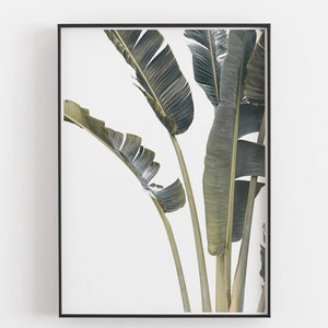 Leaves Print,Palm Print,Palm Leaves Print,Tropical Print,Tropical Wall Art,Leaves Wall Art,Leaf Print,Tropical Decor,Digital Prints,Wall Art image 3