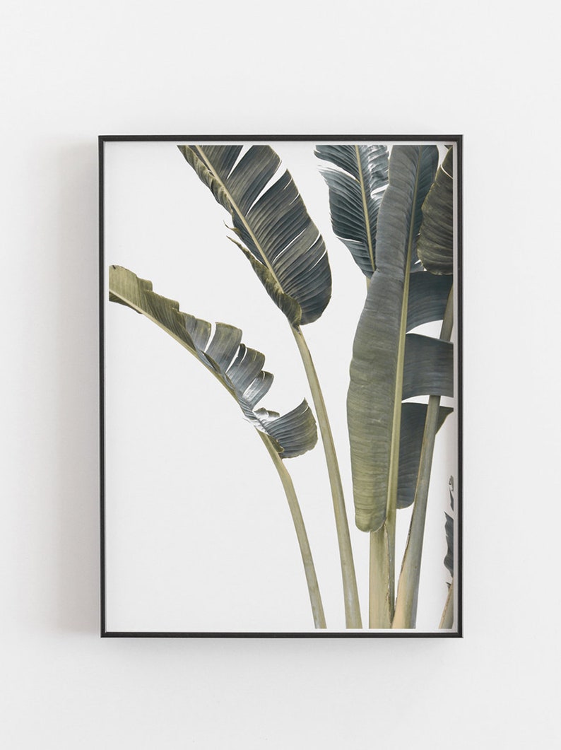 Leaves Print,Palm Print,Palm Leaves Print,Tropical Print,Tropical Wall Art,Leaves Wall Art,Leaf Print,Tropical Decor,Digital Prints,Wall Art image 3