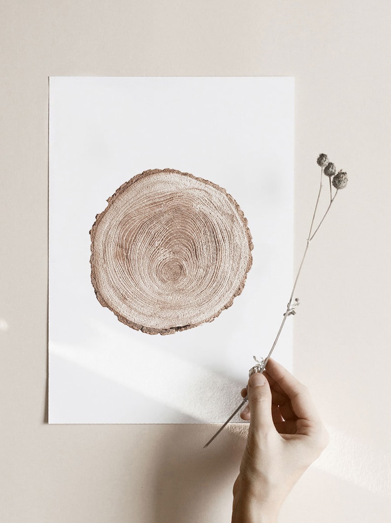 Wood Print, Wood Rings Prints, Wood Wall Art, Tree Rings, Wood Stump, Wood Art, Prints, Wall Art, Decor, Prints Wall Art, Digital Print, Art image 4