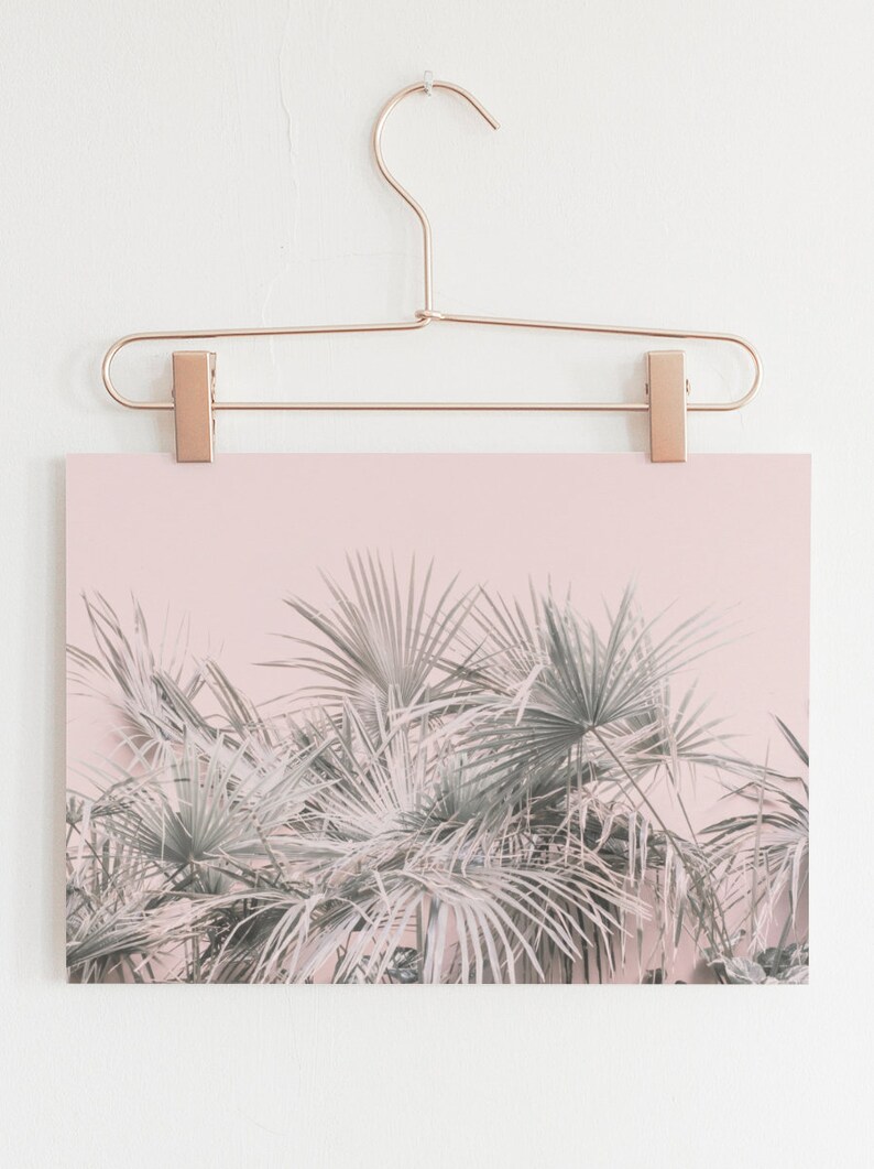 Horizontal Print Horizontal Wall Art Pink Wall Art Palm Etsy