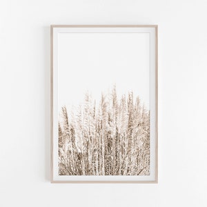 Pampas Prints, Digital Prints, Printable Wall Art, Natural Print, Natural Wall Art, Nature Print, Nature Wall Art, Rustic Print, Wall Art