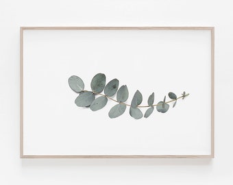 Eucalyptus Print, Horizontal Wall Art, Horizontal Print, Large Wall Art, Digital Prints, Printable Art, Botanical Print, Botanical,Art Print