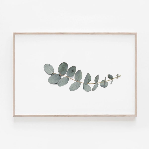 Eucalyptus Print, Horizontal Wall Art, Horizontal Print, Large Wall Art, Digital Prints, Printable Art, Botanical Print, Botanical,Art Print