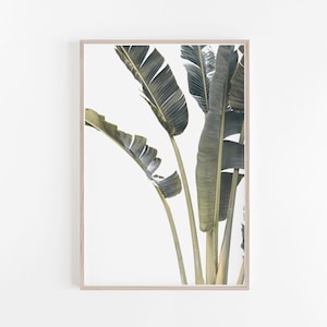 Leaves Print,Palm Print,Palm Leaves Print,Tropical Print,Tropical Wall Art,Leaves Wall Art,Leaf Print,Tropical Decor,Digital Prints,Wall Art image 1