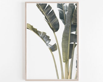 Leaves Print,Palm Print,Palm Leaves Print,Tropical Print,Tropical Wall Art,Leaves Wall Art,Leaf Print,Tropical Decor,Digital Prints,Wall Art