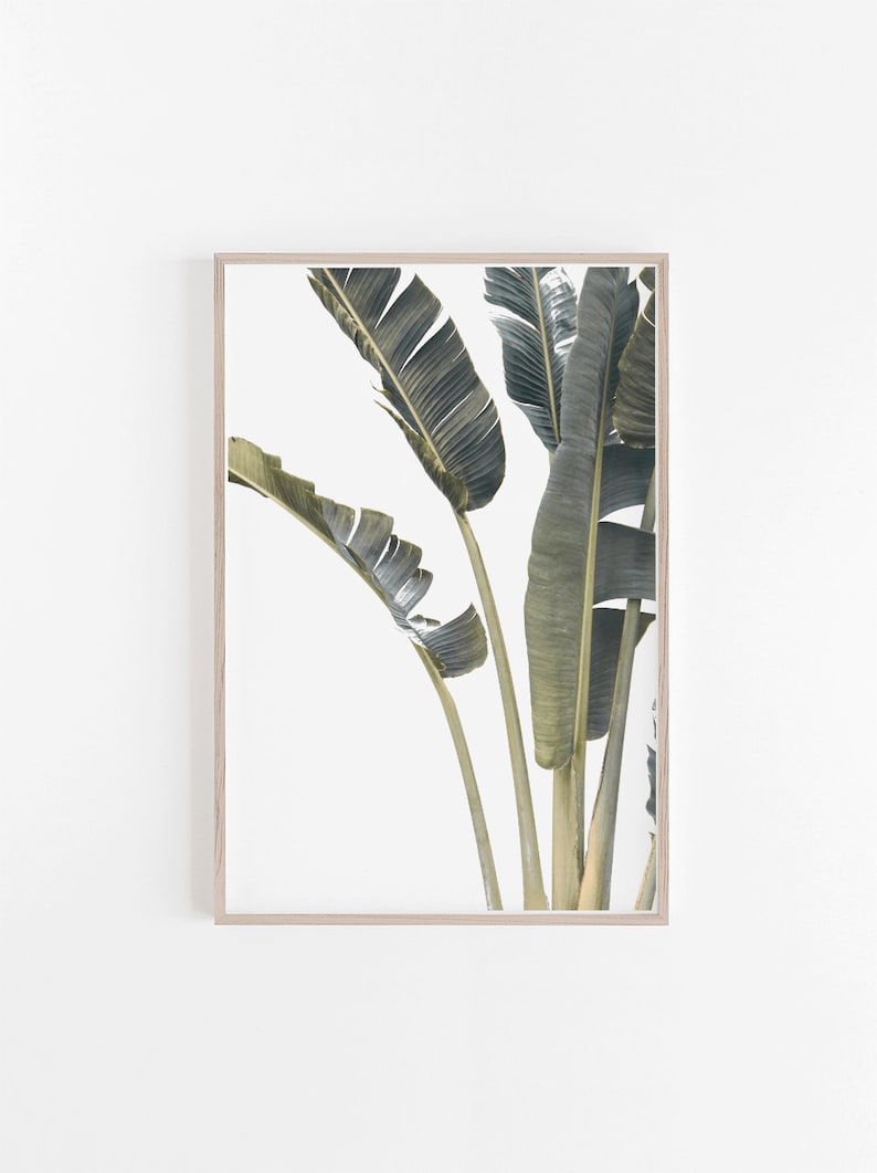 Leaves Print,Palm Print,Palm Leaves Print,Tropical Print,Tropical Wall Art,Leaves Wall Art,Leaf Print,Tropical Decor,Digital Prints,Wall Art image 1