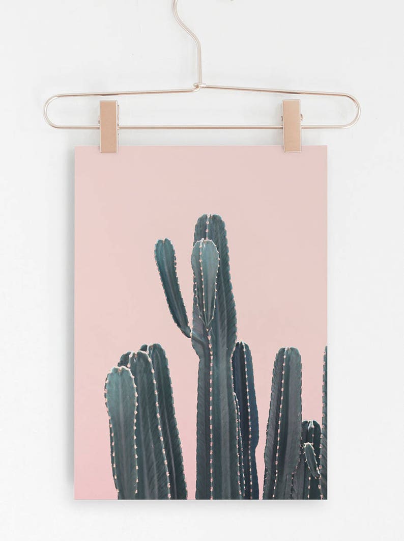 Cactus Print,Modern Minimalist,Wall Prints,Printable Art,Cacti,Digital Prints,Cactus Wall Art,Cactus Poster,Cactus Prints,Cactus Photography