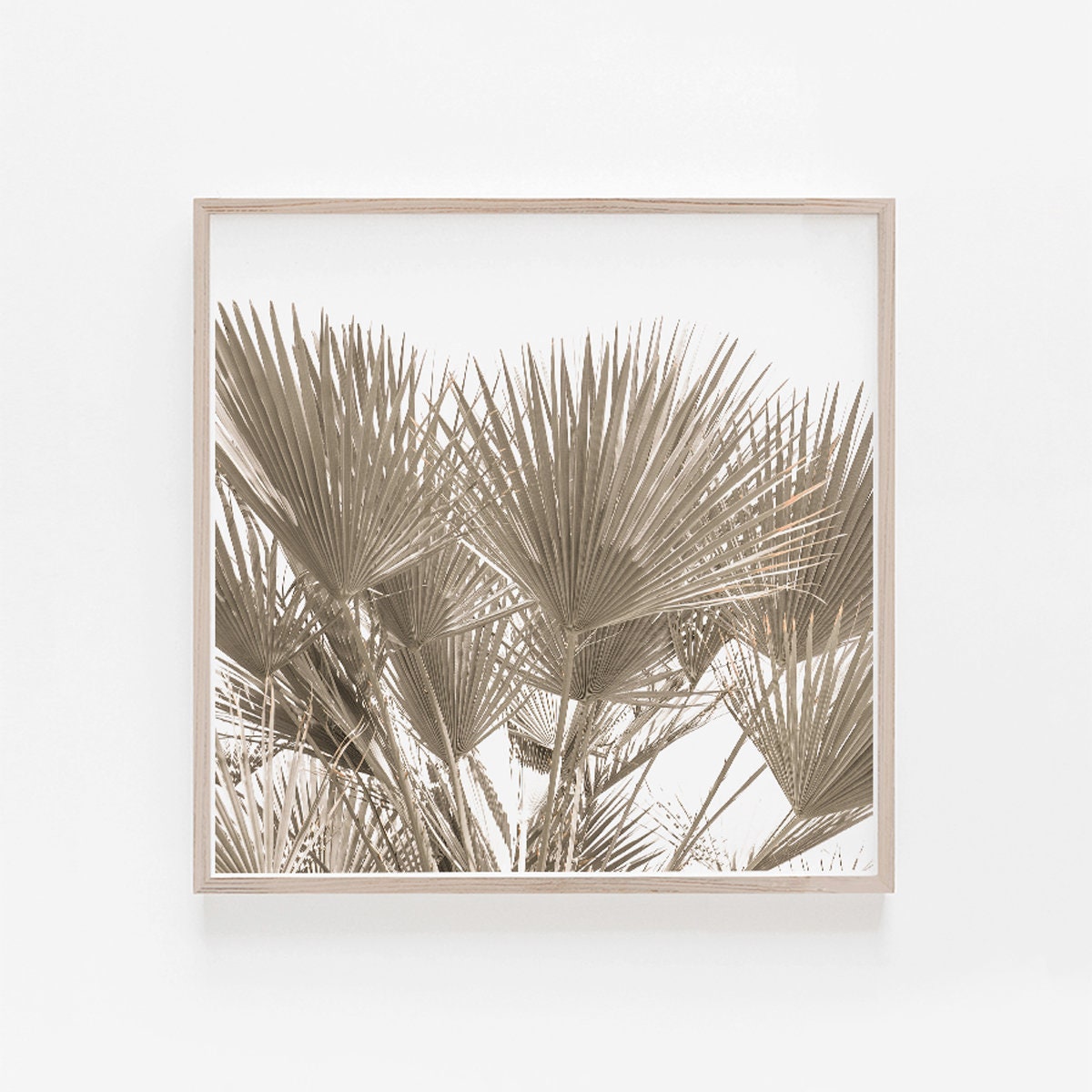 Wall Art Digital Prints Set of 4 Prints Square Prints Etsy