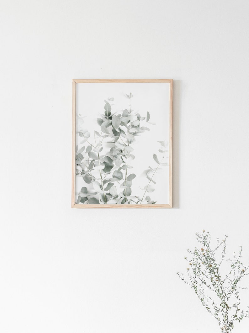 Eucalyptus Print, Eucalyptus Leaves, Botanical Print, Botanical Art Prints, Botanical Wall Art, Botanical Art Print, Eucalyptus Wall Art image 2