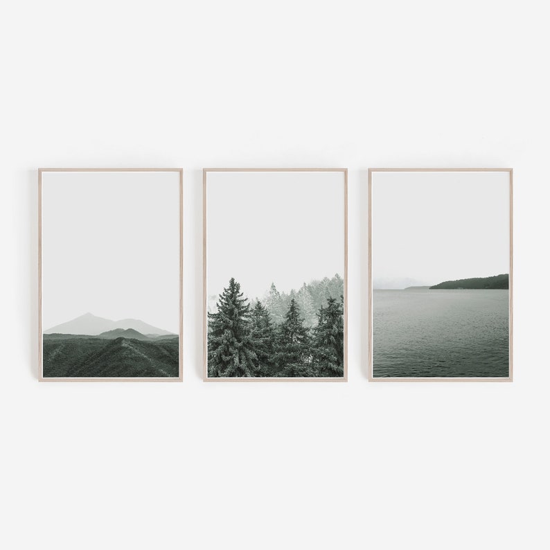 Set of 3 Prints Nature Prints Nature Wall Art Nature Decor Etsy
