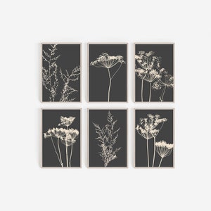 Set of 6 Prints, DIGITAL Prints, Wall Art Prints, Botanical Posters, Farmhouse Prints, Farmhouse Wall Art, Farmhouse Decor, Home Decor, Art