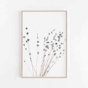 Lavender Print, Lavender, Farmhouse Decor, Lavender Wall Art, Botanical Print,Botanical Wall Art,Lavender Art Print,Lavender Art ,Wall Print