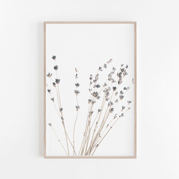 Lavender Wall Art Etsy