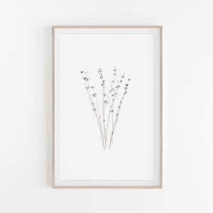 Lavender Print,Watercolour Print,Botanical Print,Lavender Wall Art,Botanical Wall Art,Lavender Art Print,Watercolor Lavender,Botanical Plant