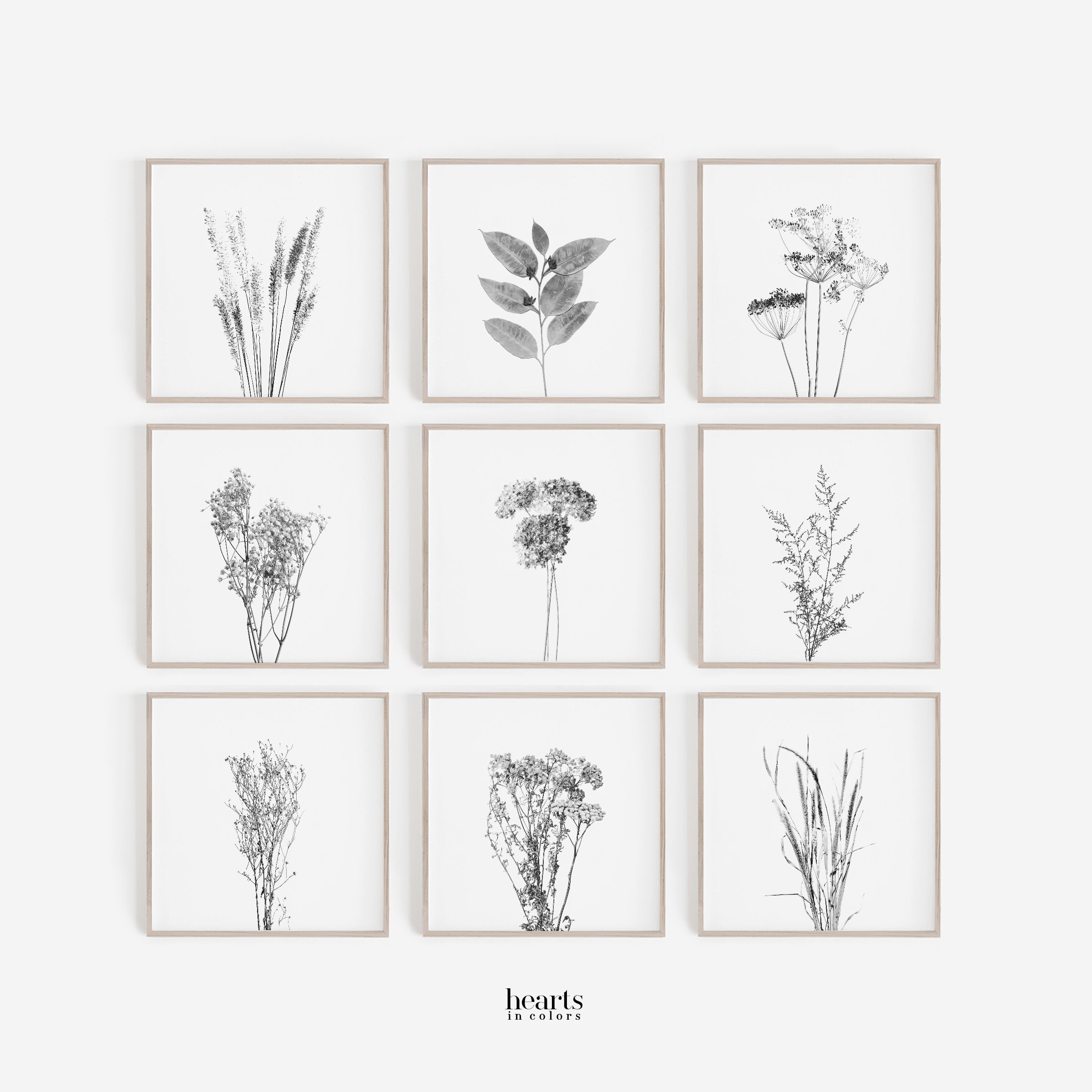 Black and White, Farmhouse, Set of 9 Prints, Digital Prints, Square Prints, Botanical, Wall Art, Prints, Farmhouse Wall Art, Wall Decor