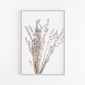 Pretty Dried Wildflowers Colorful Design Art Print for Sale by