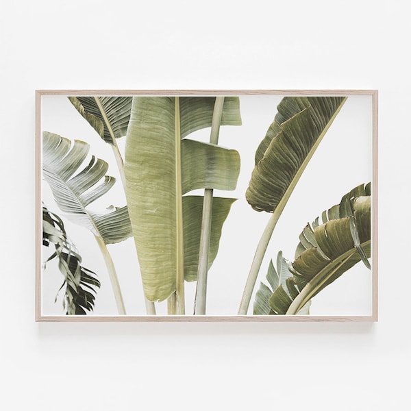 Tropical Print, Palm Leaf Print, Palm Print, Horizontal Print, Horizontal Wall Art, Large Wall Art, Banana Leaf Print, Tropical Wall Art