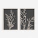 Digital Prints, Black Beige Prints, Plant Wall Art, Botanical Prints, Botanical Wall Art, Art Prints, Set of 2 Prints, Large Wall Art, Print