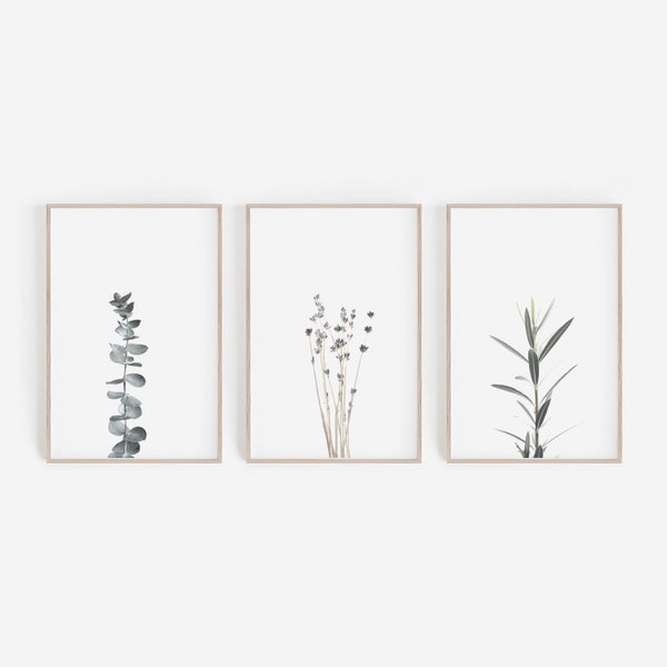 Set of 3 Prints, Farmhouse Decor, Botanical Print, Wall Decor, Eucalyptus Print, Lavender Print, Lavender, Printable Wall Art, Art Prints