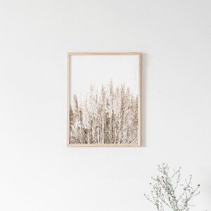 Pampas Prints, Digital Prints, Printable Wall Art, Natural Print, Natural Wall Art, Nature Print, Nature Wall Art, Rustic Print, Wall Art