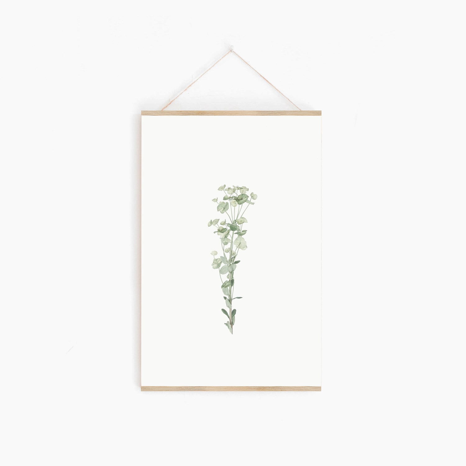 Botanical Prints DIY Wall Art Botanical Wall Art Poster Etsy