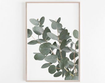 Eucalyptus Print, Art Print, Artwork, Eucalyptus Leaves, Print, Wall Art, Botanical Print, Botanical, Digital Print, Wall Print, Eucalyptus