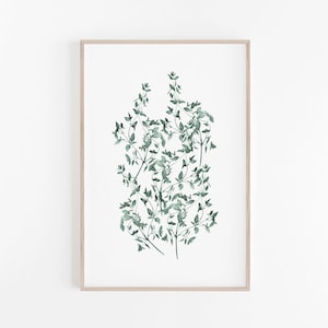 Thyme Print, Digital Print, Botanical Print, Printable Wall Art, Kitchen Wall Art, Green Wall Art, Art Print, Prints, Botanical Poster, Art image 1