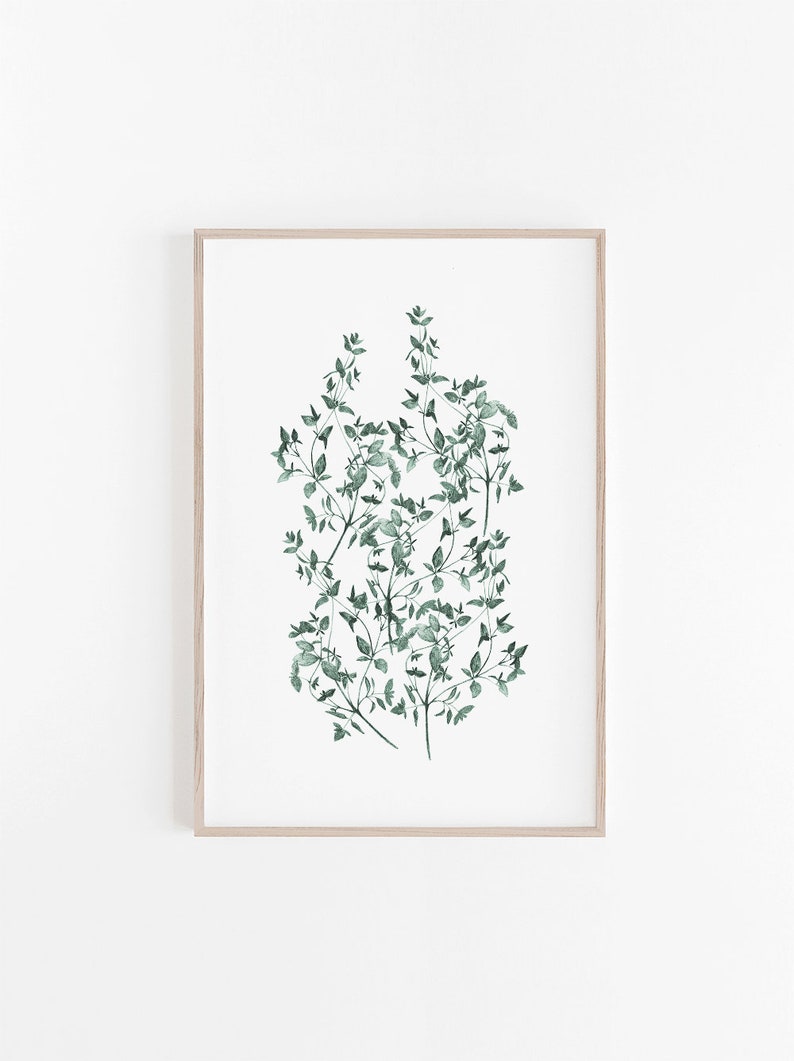 Thyme Print, Digital Print, Botanical Print, Printable Wall Art, Kitchen Wall Art, Green Wall Art, Art Print, Prints, Botanical Poster, Art image 1