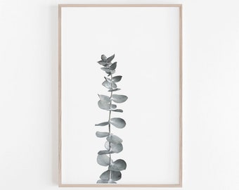 Botanical Print,Eucalyptus Print,Eucalyptus Leaves,Wall Art,Botanical Art,Nature Print,Eucalyptus,Digital Print,Botanical Wall Art,Art Print