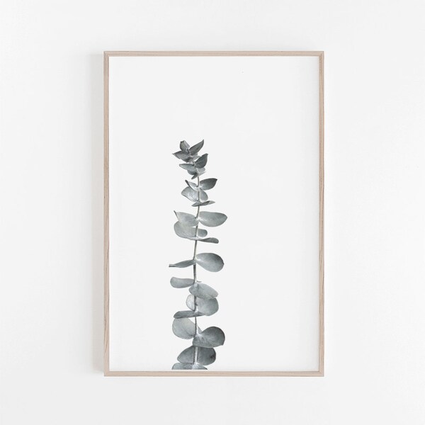 Botanical Print,Eucalyptus Print,Eucalyptus Leaves,Wall Art,Botanical Art,Nature Print,Eucalyptus,Digital Print,Botanical Wall Art,Art Print