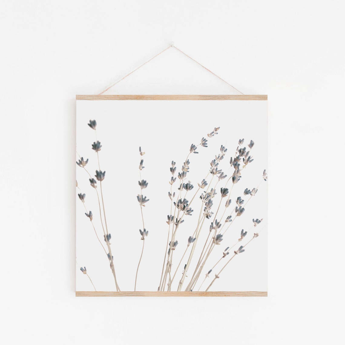 Digital Prints Set of 4 Prints Square Prints Botanical Etsy