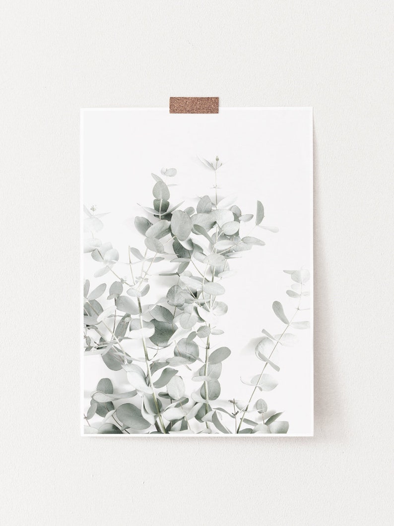 Eucalyptus Print, Eucalyptus Leaves, Botanical Print, Botanical Art Prints, Botanical Wall Art, Botanical Art Print, Eucalyptus Wall Art image 3