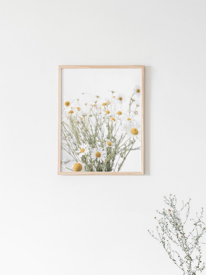 Farmhouse Print, Digital Print, Farmhouse Wall Art, Camomile Print, Wall Art, Farmhouse Art Decor, Square, 8x10, 8.5x11, 5x7, 11x14 Prints image 2