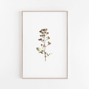Botanical Print,Botanical Poster,Digital Download,Printable Art,Printable Wall Art,Botanical Art Print,Digital Prints,Wild Berries Art Print