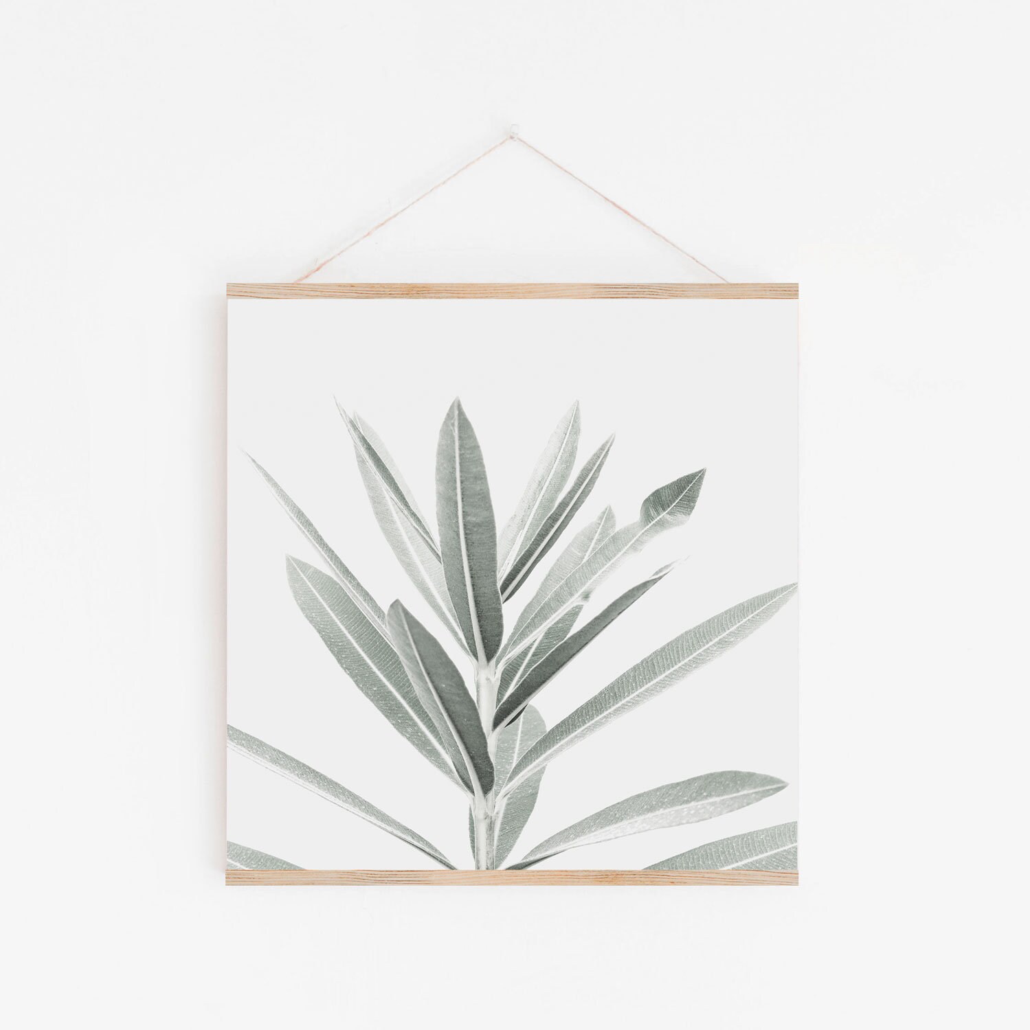 Digital Prints Set of 4 Prints Square Prints Botanical Etsy Canada