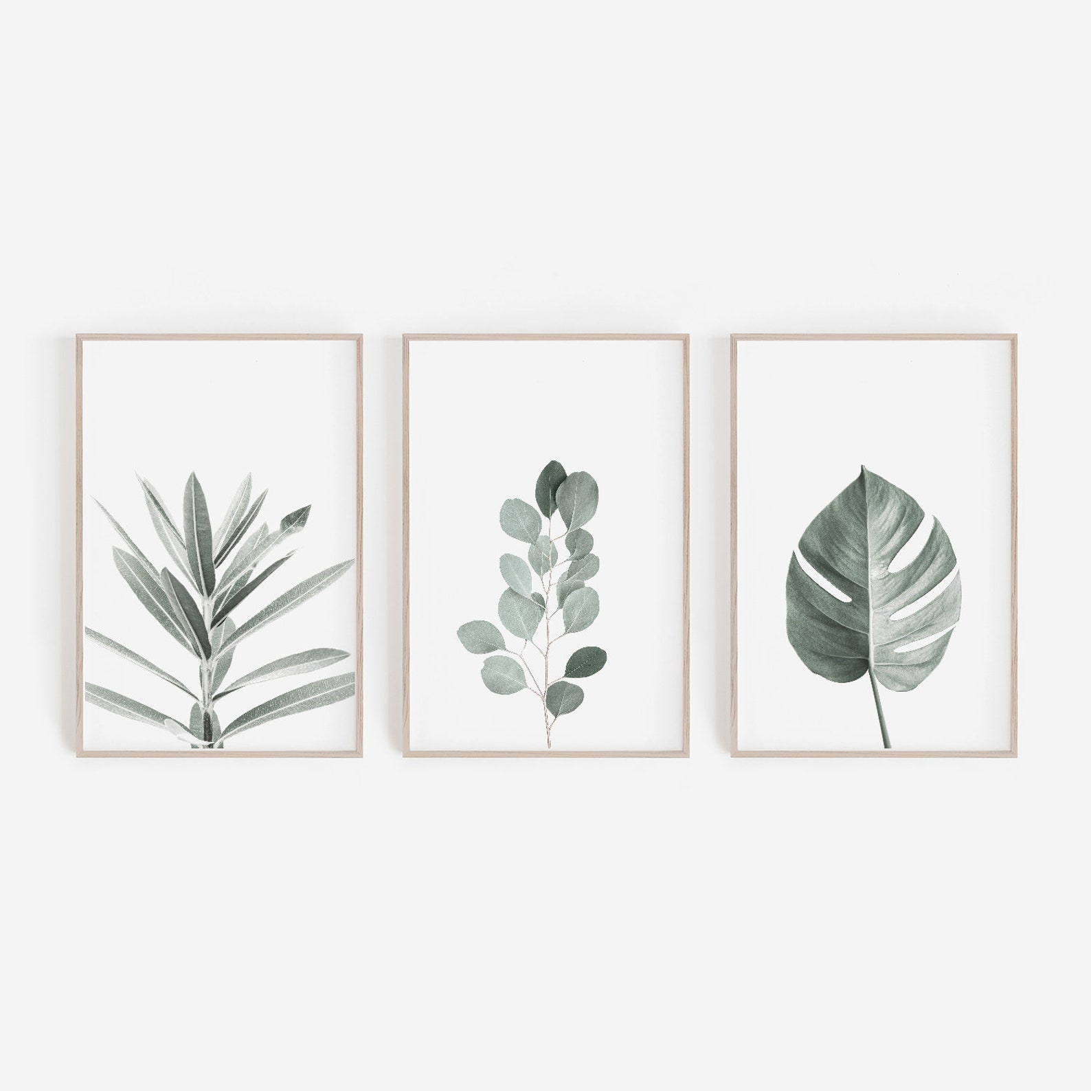 DIY WALL ART Prints Set of 3 Prints Botanical Prints Etsy