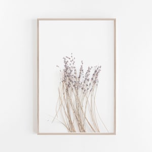 Lavendel print, muur decor, botanische print, boerderij print, rustieke print, lavendel, kunst aan de muur, botanische, kunst print, digitale prints, plant print, kunst