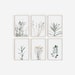 Set of 6 Prints, DIGITAL Prints, Botanical Prints, Botanical Posters, Farmhouse Prints, Farmhouse Wall Art, Farmhouse Decor, Home Decor, Art 