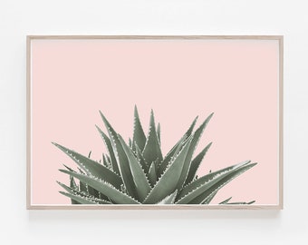 Succulent Print,Horizontal Wall art,Succulent Wall Art,Horizontal Print,Tropical Print,Plant Print,Succulent Art Print,Cactus Print,Cactus