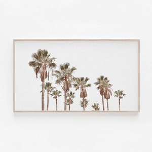 Art Tv, Palm Trees Tv Art, Art for TV, Frame Art TV, Palms Art Tv, Art Frame, Digital Art for Tv, Palm Trees Photography, Tv Art