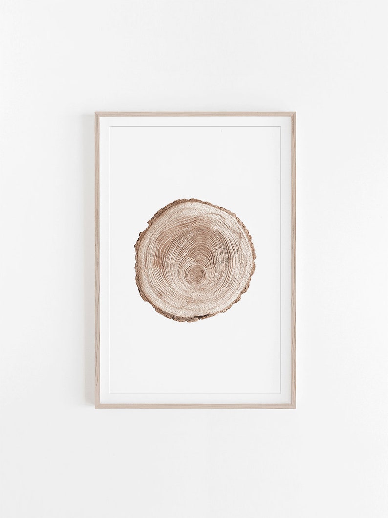 Wood Print, Wood Rings Prints, Wood Wall Art, Tree Rings, Wood Stump, Wood Art, Prints, Wall Art, Decor, Prints Wall Art, Digital Print, Art image 1