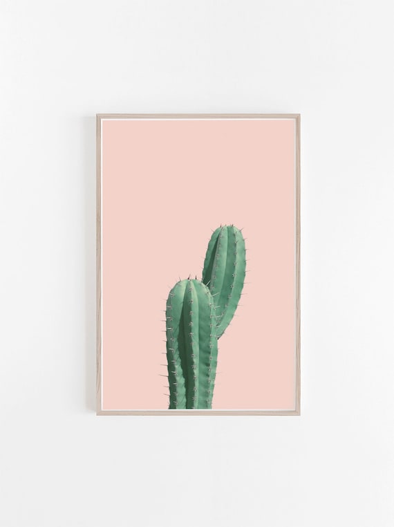 open haard Beknopt medeklinker Cactus Prints Blush Roze Cactus Art Cactus Roze Cactus - Etsy België
