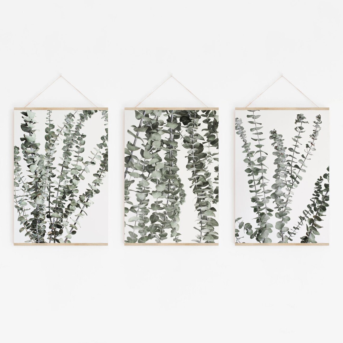 Wall Art DIGITAL Prints Set of 3 Prints Eucalyptus Prints Etsy