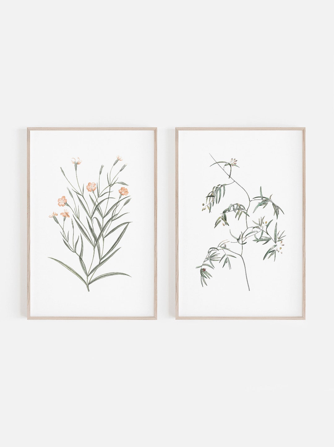 Digital Prints, Botanical Prints, Botanical Wall Art, Botanical ...