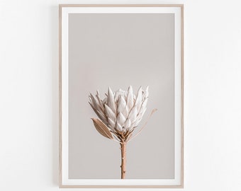 Protea Print, Wall Art, Protea Wall Art, Flower Print, Flower Wall Art, Floral Wall Art, Digital Prints, Protea Art, Wall Decor, Home Decor