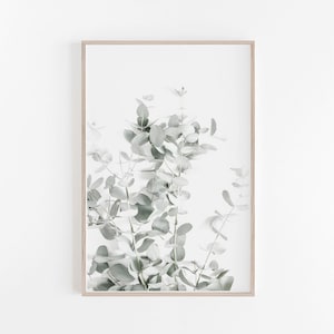 Eucalyptus Print, Eucalyptus Leaves, Botanical Print, Botanical Art Prints, Botanical Wall Art, Botanical Art Print, Eucalyptus Wall Art image 1